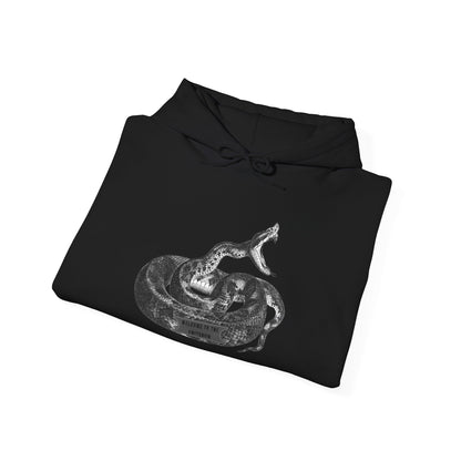 Coiled Rattlesnake Hoodie | Snake Illustration, Vintage Black Ink