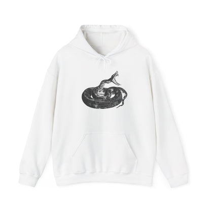 Coiled Rattlesnake Hoodie | Snake Illustration, Vintage Black Ink