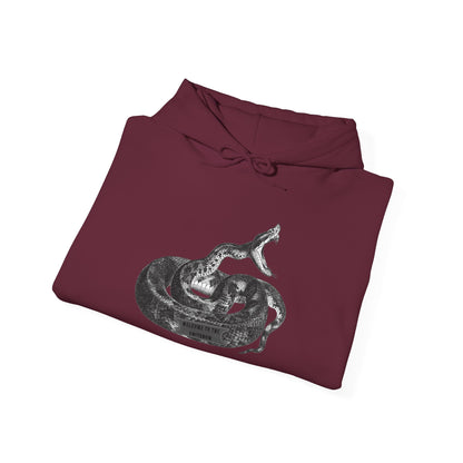 Coiled Rattlesnake Hoodie | Snake Illustration, Vintage Black Ink