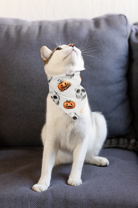Spooky Skull Pet Bandana Collar - Perfect for Your Furry Friend!