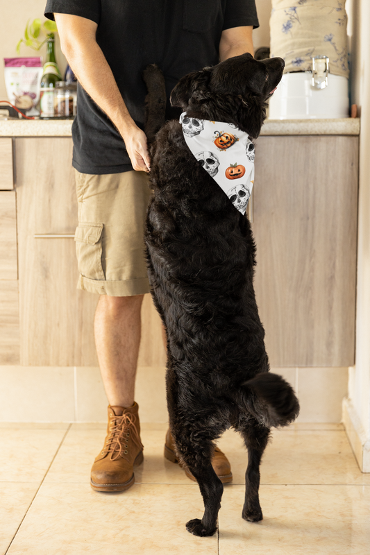 Spooky Skull Pet Bandana Collar - Perfect for Your Furry Friend!