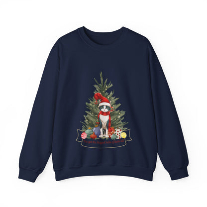 Spread the Laughter this Christmas with our Big Balls Christmas Cat Sweatshirt | Unisex Comfort and Style