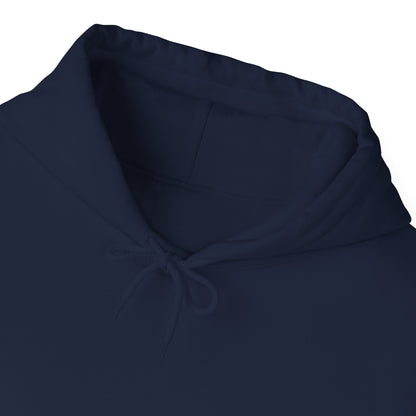 Make a statement with our Aint Trying Unisex Heavy Blend™ Hooded Sweatshirt in various colors
